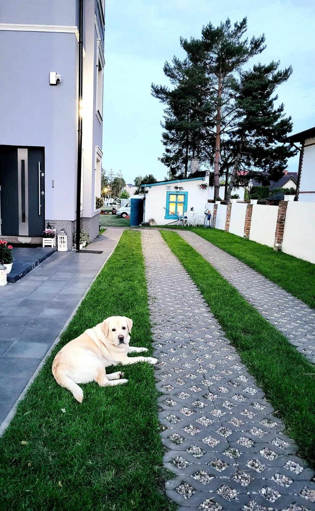 Villa Blue Mare Ustronie Morskie Bagian luar foto